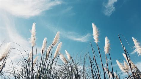 發夢游水|夢到水：解讀潛意識的語言，水象徵著你的潛在力量 